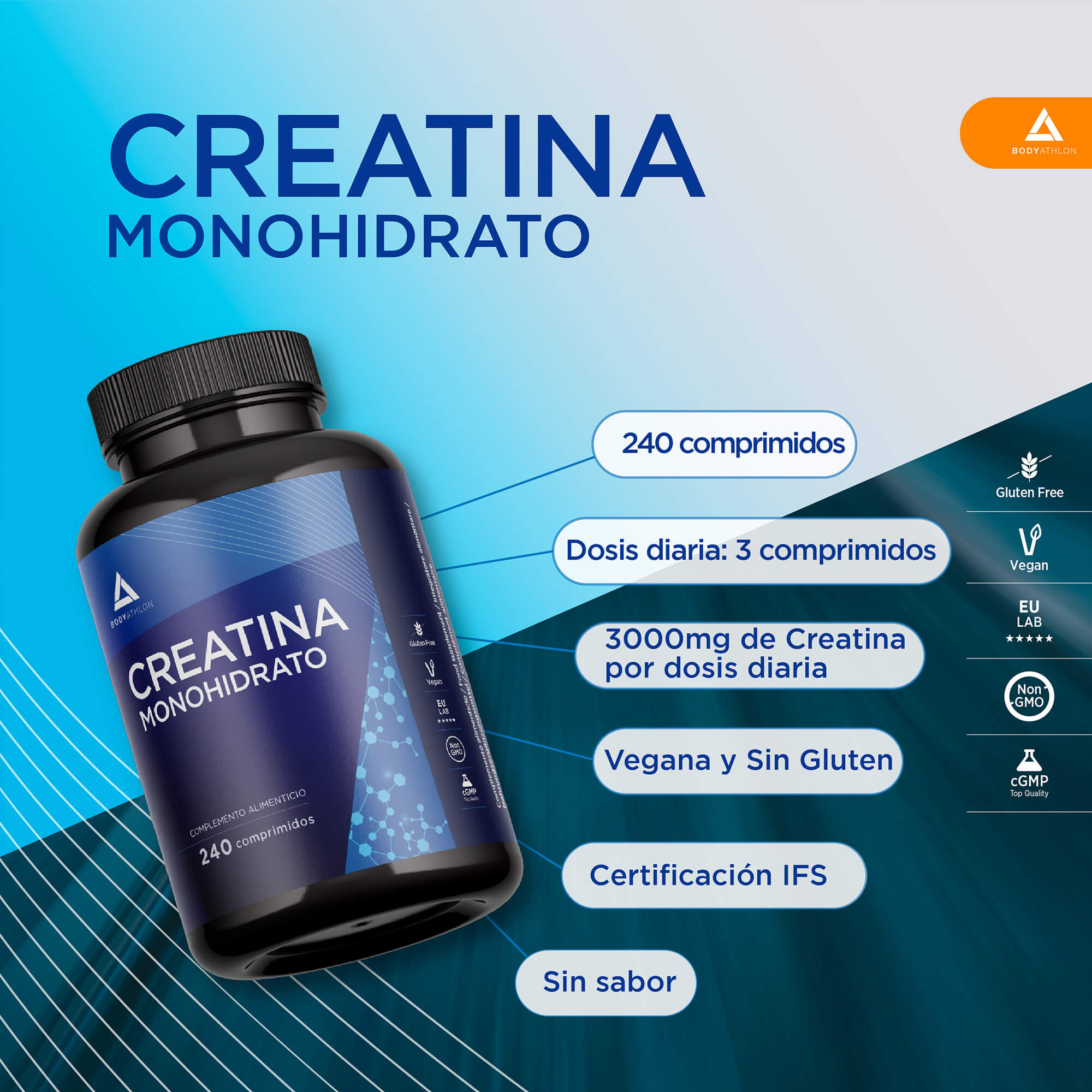 creatina-monohidrato-240-comprimidos-ES60012-bodyathlon-03 creatina monohidrato pura 240 comprimidos bodyathlon