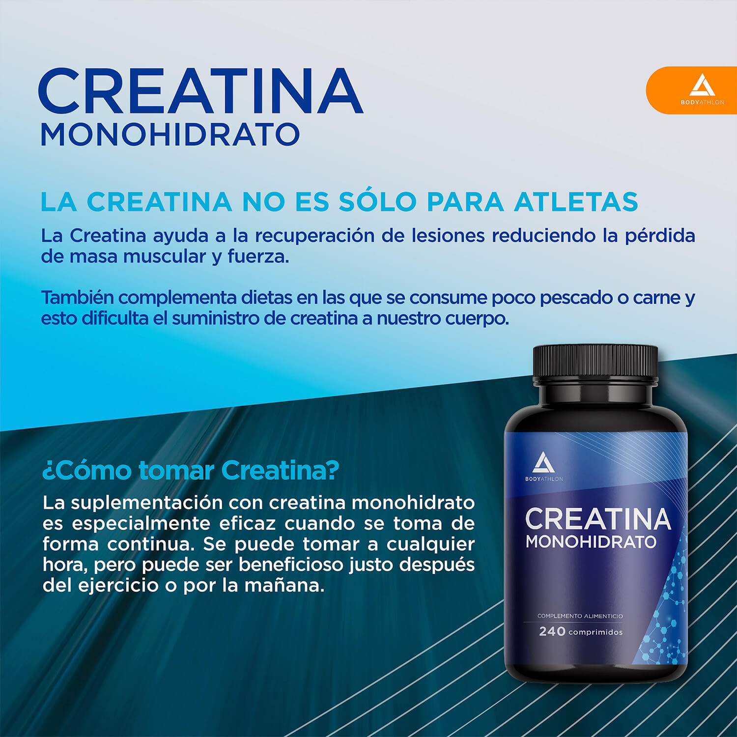 creatina-monohidrato-240-comprimidos-ES60012-bodyathlon-05 creatina monohidrato pura 240 comprimidos bodyathlon